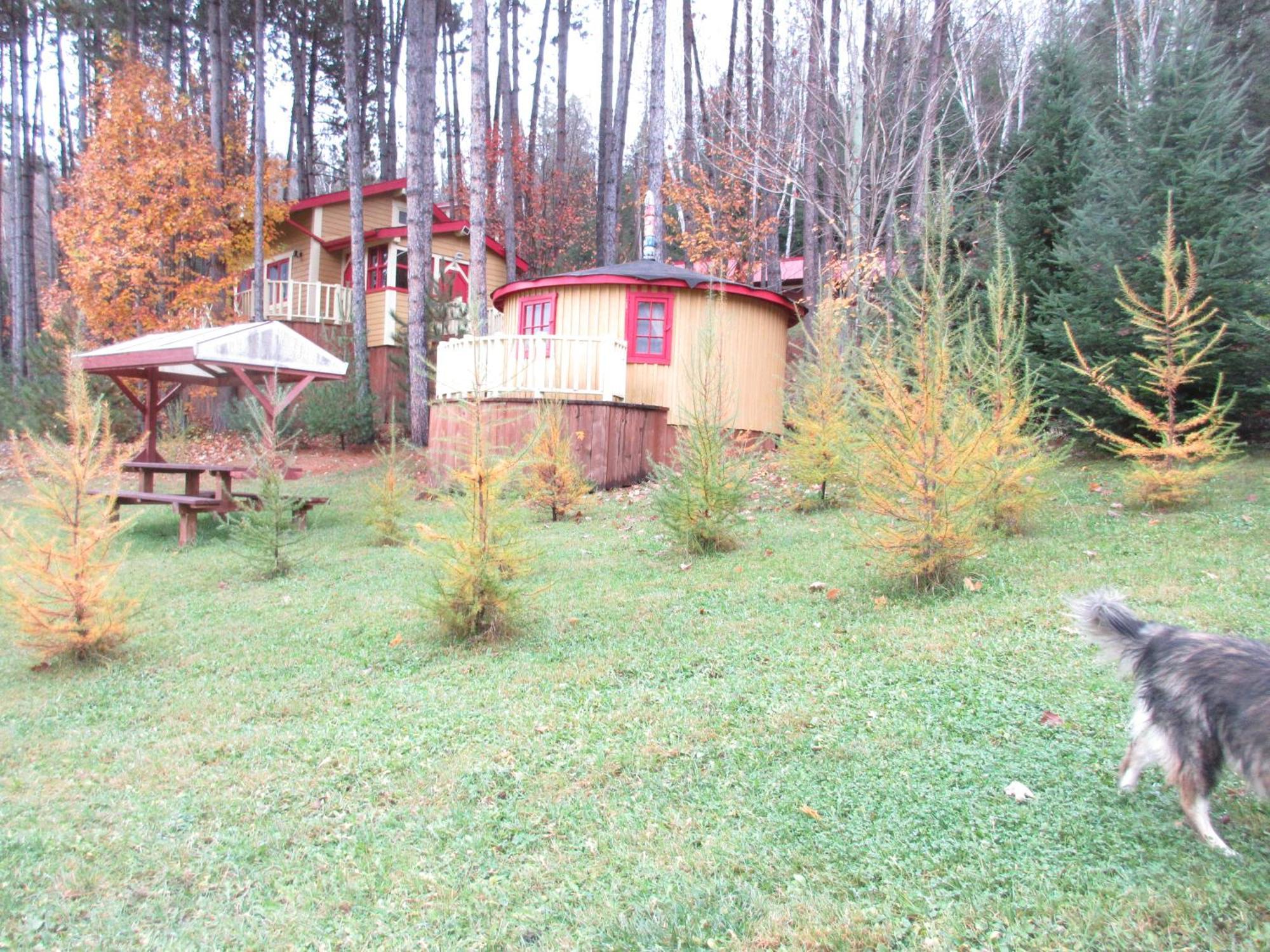 La Maison Sous Les Arbres Saint Roch de Mekinac Kültér fotó
