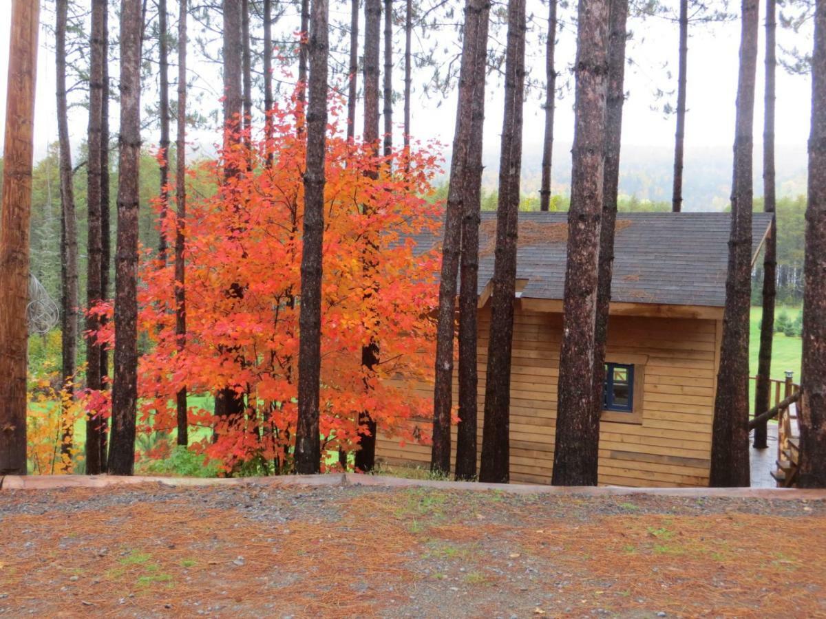 La Maison Sous Les Arbres Saint Roch de Mekinac Kültér fotó