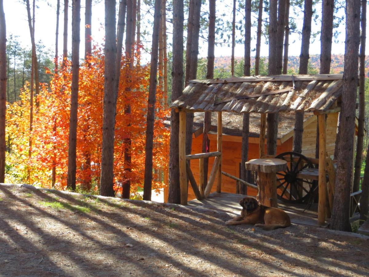 La Maison Sous Les Arbres Saint Roch de Mekinac Kültér fotó