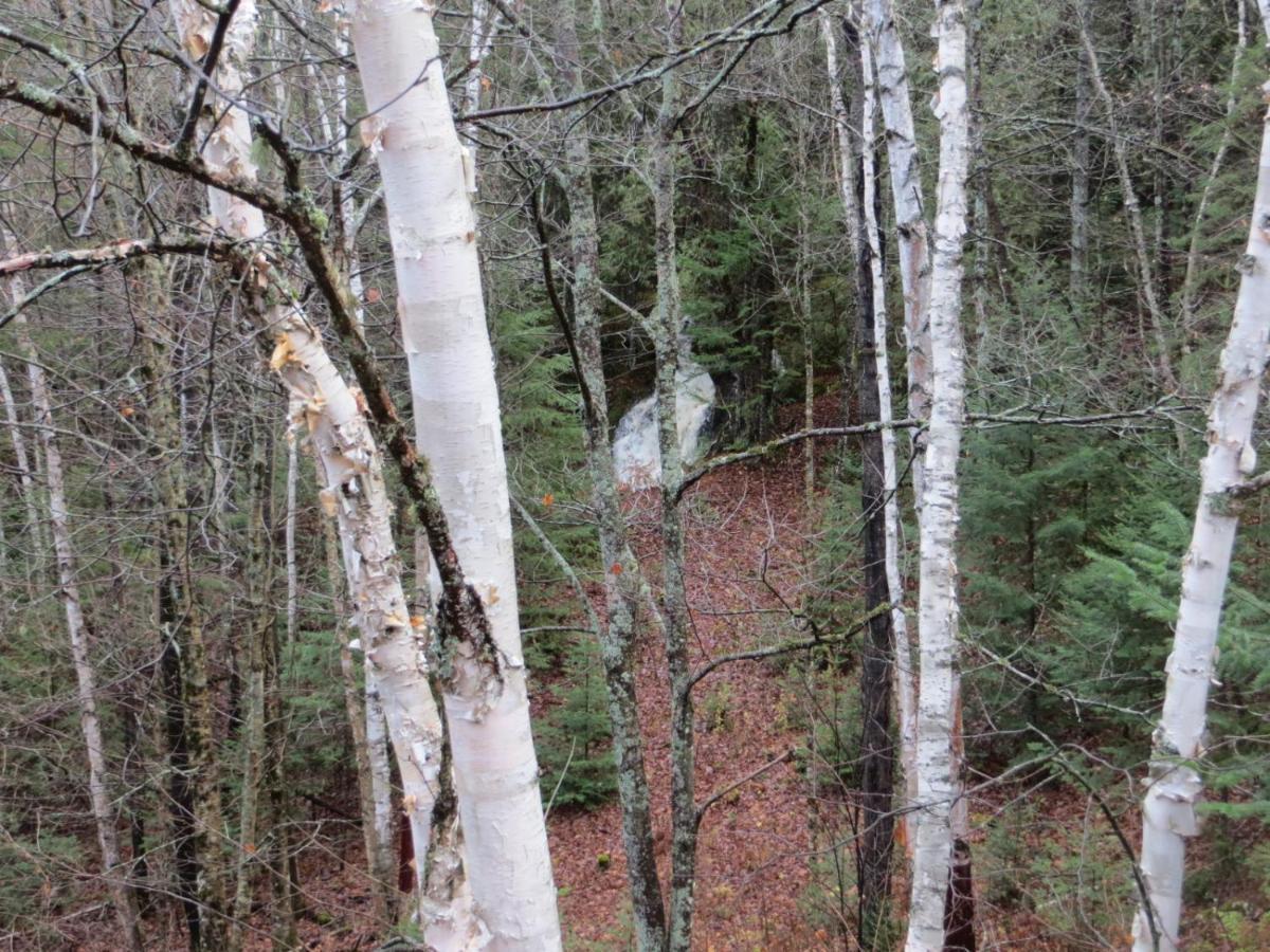 La Maison Sous Les Arbres Saint Roch de Mekinac Kültér fotó